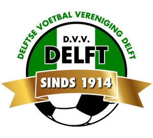 Logo van D.V.V. Delft