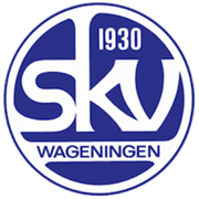 Logo van SKV