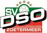 Logo van sv DSO
