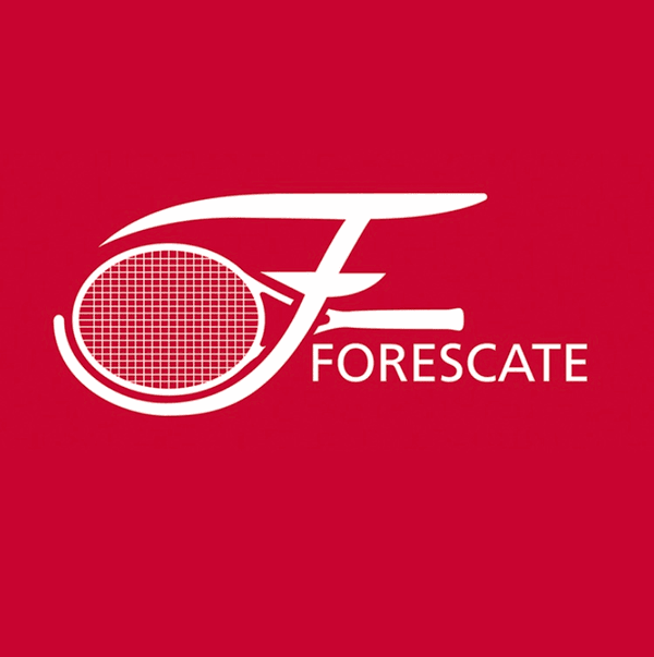 Logo van TPV Forescate
