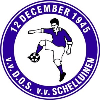 Logo van VV Schelluinen