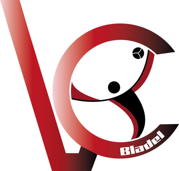 Logo van VC Bladel